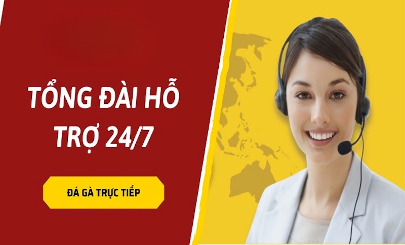 Những thắc mắc thường gặp khi liên hệ SV388 cần được giải đáp